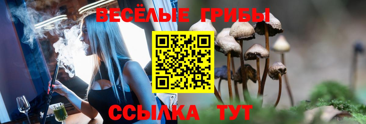 Мурманск  Псилоцибиновые грибы Cubensis  Вход с VPN 
